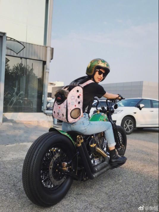 躲过了带货王杨幂断货王林允的分享，却没逃过安利王张俪的推荐