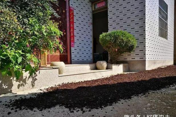 「种植」种植兰花的腐殖土有虫子,怎么办1个塑料袋解决问题