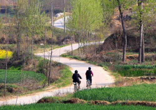 农村一种野草，90后经常采摘来吃，市场价很高