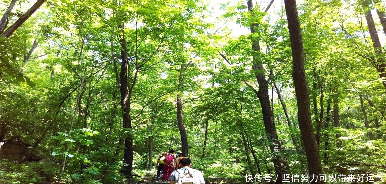 东北一座不知名森林公园,为何敢叫板华山称天下第一险?有何特殊