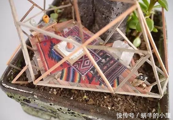 盆栽|她在盆栽上放了这个,家里瞬间活了起来!