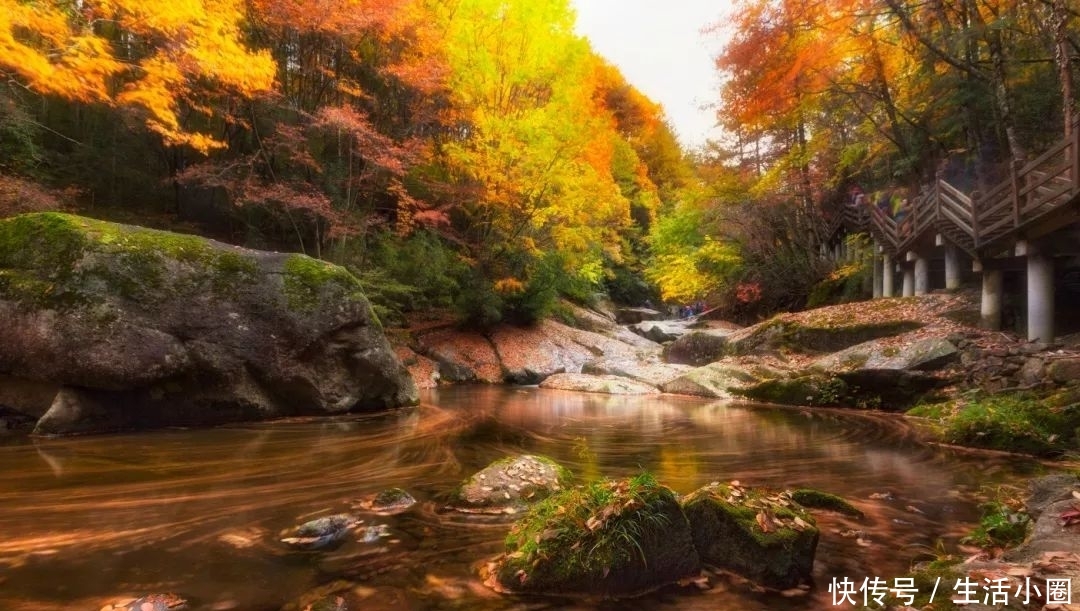 西安秦岭这个地方,秋季美成天堂,霸占北方最绚烂秋景