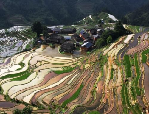 世界之最，加榜梯田，散落着苗乡特有的吊脚楼