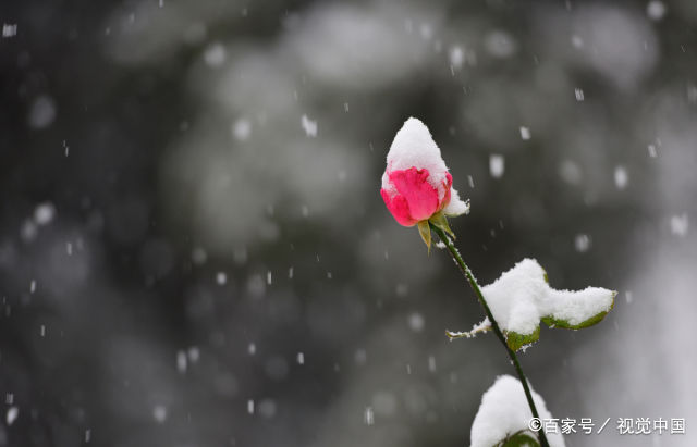 原创诗词:低吟浅唱——行香子五首