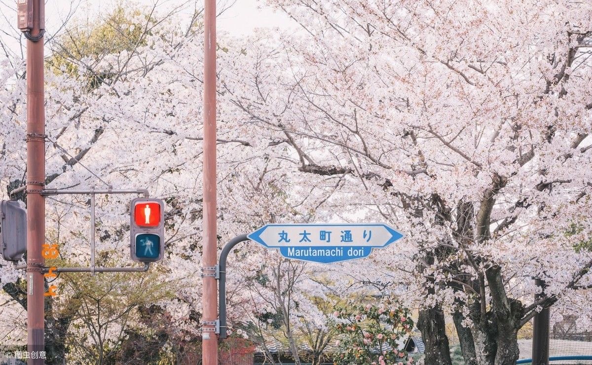 中国已成多国第一大客源地:泰国日本最受欢迎,越南占比最高