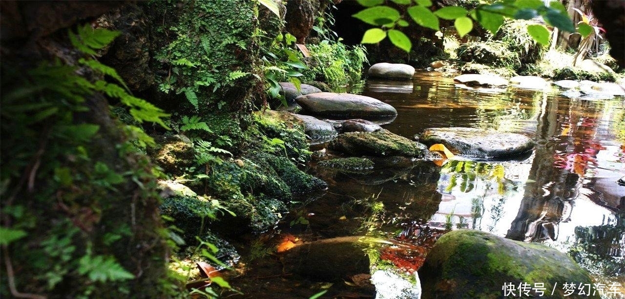 广东被忽视的园林，是岭南四大园林之一，本地人免费外地人仅15元