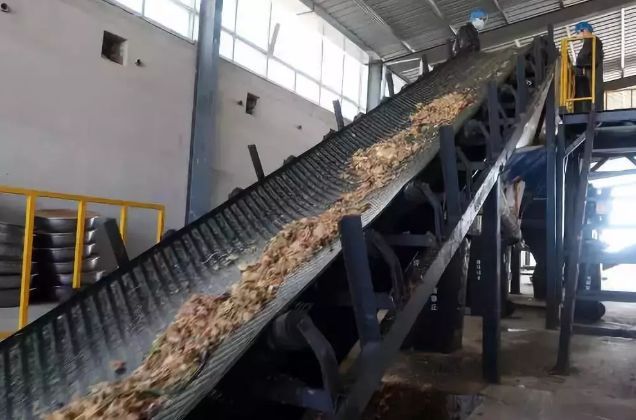 这个恐怖工厂：养10亿只蟑螂，每天喂50吨饭（饭前慎入！）