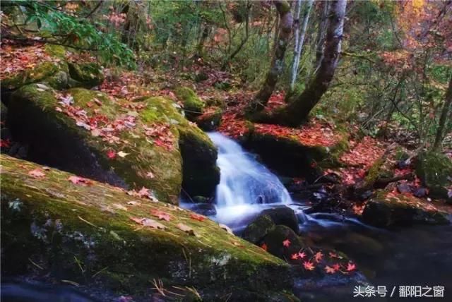 陕西：“天然氧吧”、“秦岭的九寨沟”还有唐太宗李世民的银杏…