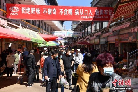  【新鲜上市的各种山茅】“春”到昆明菜市场 山茅野菜惹人爱