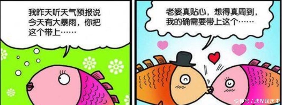  精致|呆头农场：小呆呆为鸟儿制作精致“木假腿”！这就是所谓的金鸡独立吗？