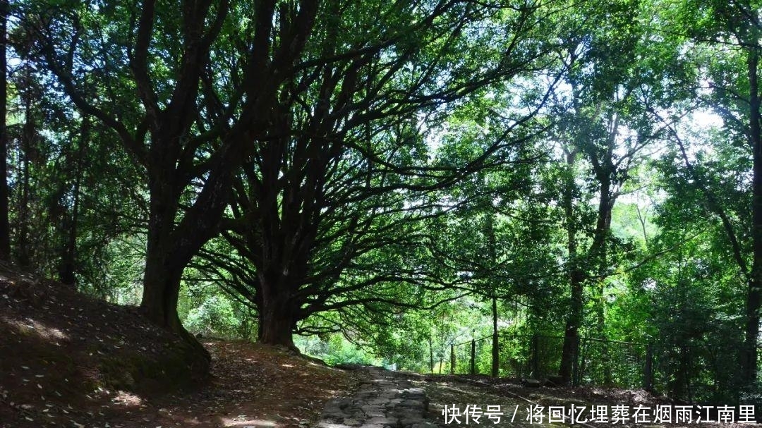  『房子』云南旅行，遇一上海姐姐，辞职到云南开民宿，将生活过成了诗