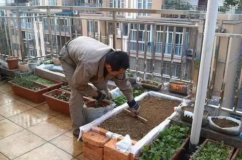  「合适」邻居在楼顶搭建一个菜园，这做法真的合适吗？