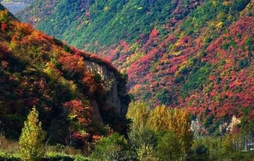秦岭私藏2条自驾公路,秋季美成天堂,霸占北方最绚烂秋景