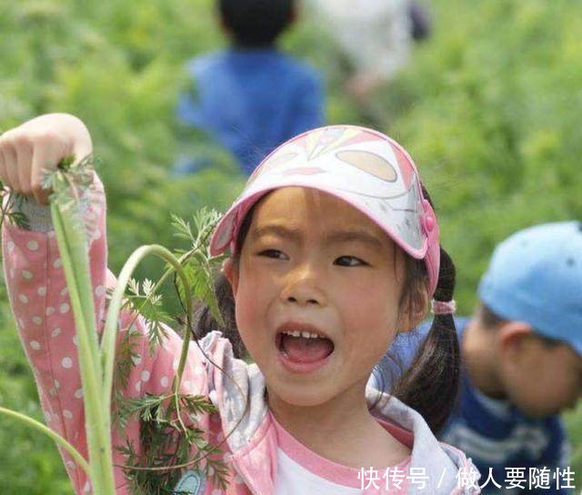 让农民痛恨的田间杂草，原来有这么大的用处，可好多人都不知道