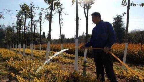  「明年」明年开年，又有一批农民要忙起来了，这六大项目将在农