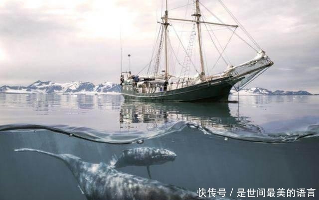  『出海』为何辽宁舰每次出海，后面都要跟一群鲨鱼？真相让人难以接受