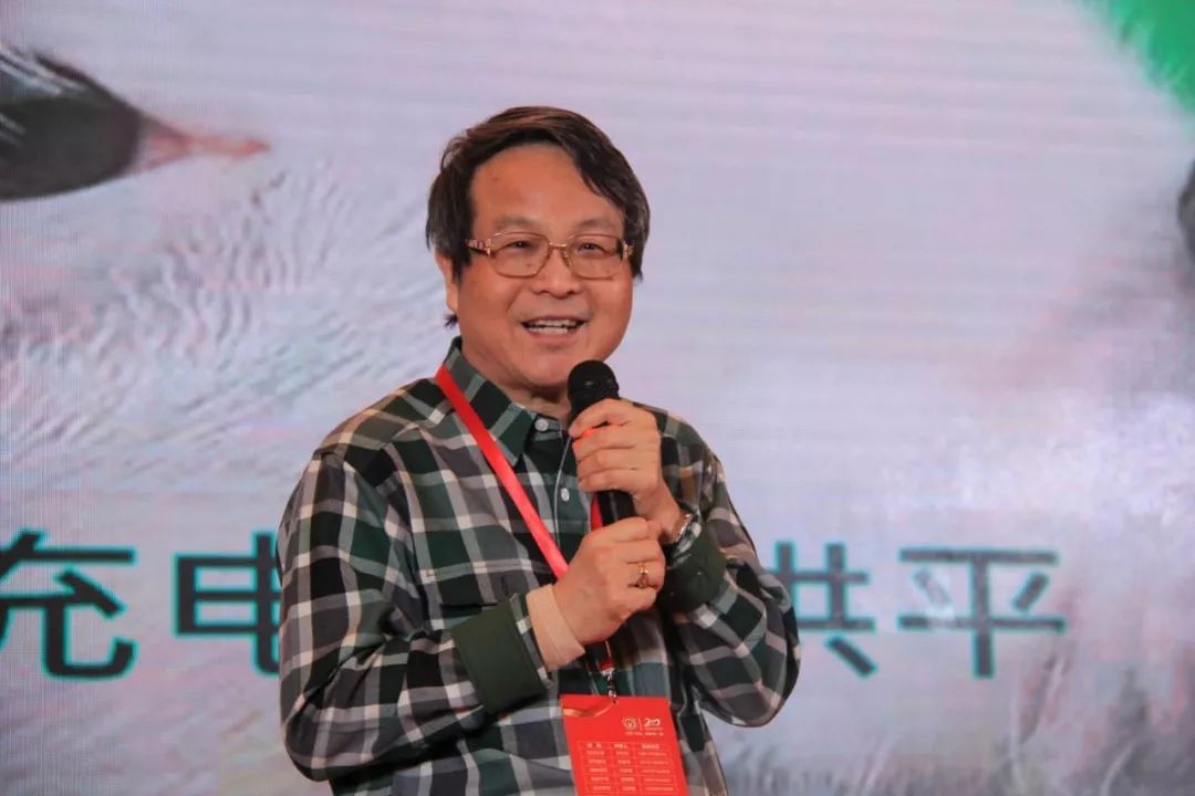 洪平：2019养猪，不发瘟，就发财｜新年问大咖