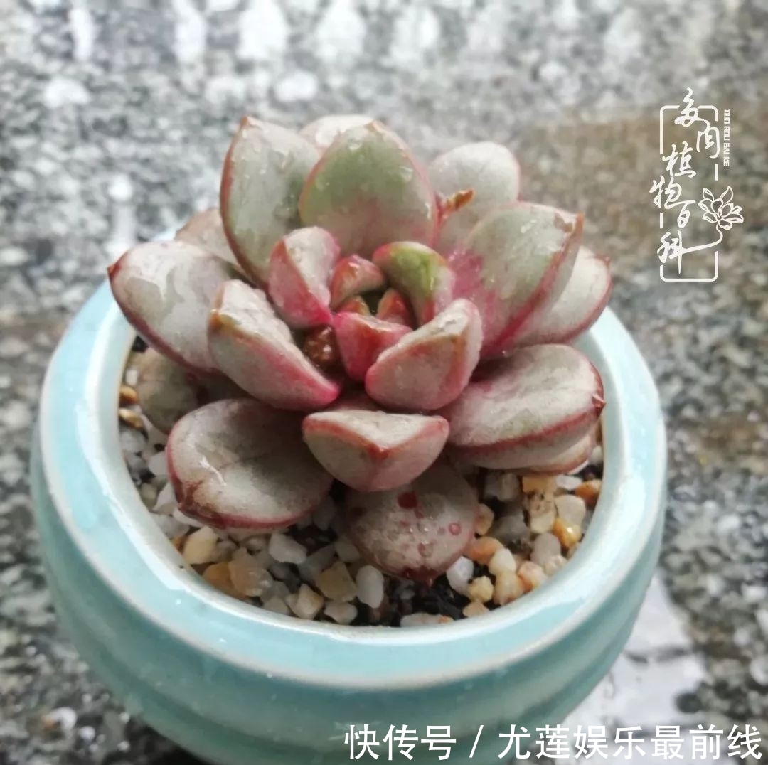 『那种』我爱的，就是你的存在！只要努力该来的都在路上！
