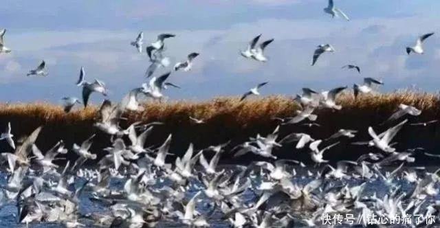 好消息！河南这个地方再添国家级金名片！全国仅6个！