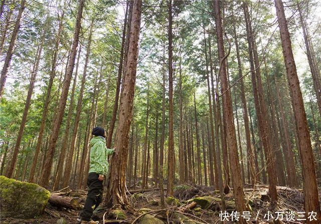 国对日本禁止出口这东西,网友纷纷拍手叫好,可