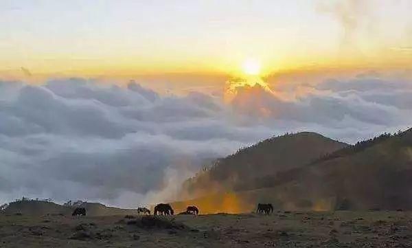 这个湖与邛海、泸沽湖齐名，是四川第三大天然高原湖泊