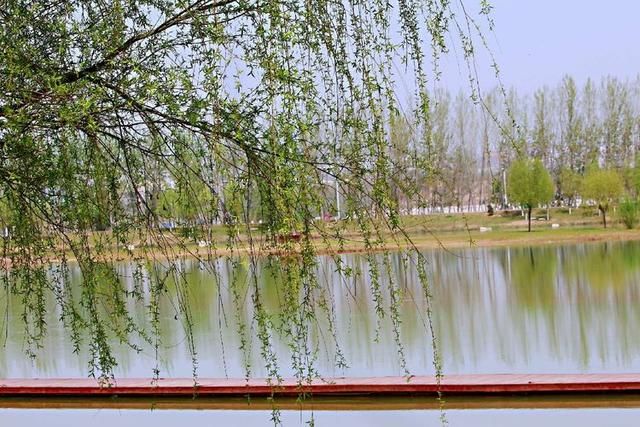 三月春暖花开,又到了寻花问柳的季节!