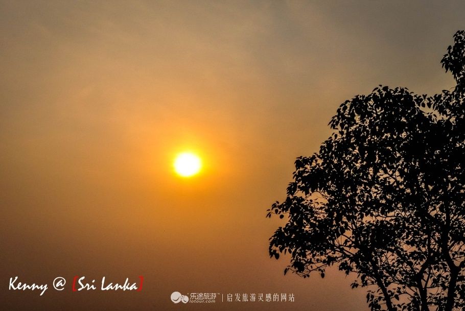 狮子岩，人与动物和谐共处的世界第八大奇迹