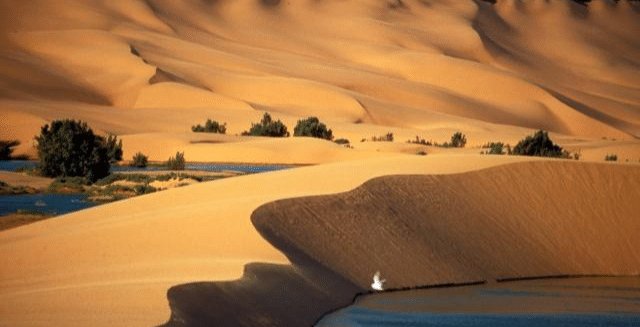  [发现]中国最大沙漠底下有大发现, 科学家: 发现一个巨大“宝库