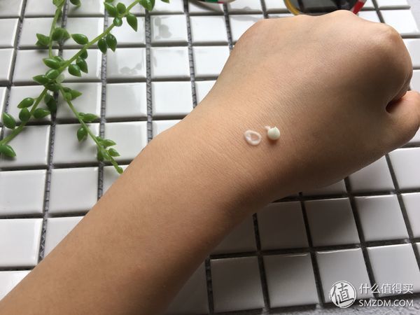 【好物分享】 篇十一:种草-法国医美药妆品牌菲洛嘉试用体验，未