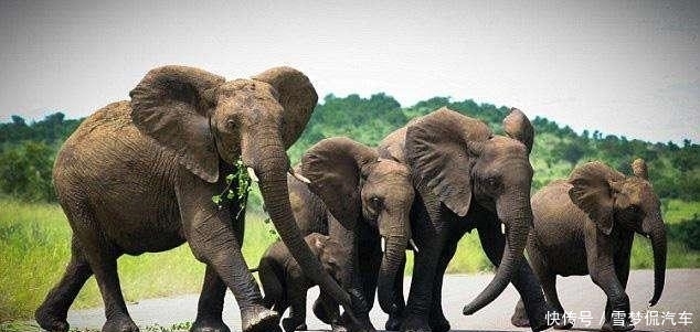 中国3个奇怪的省份简称，没大象的地方叫“豫”，山东不叫“齐”