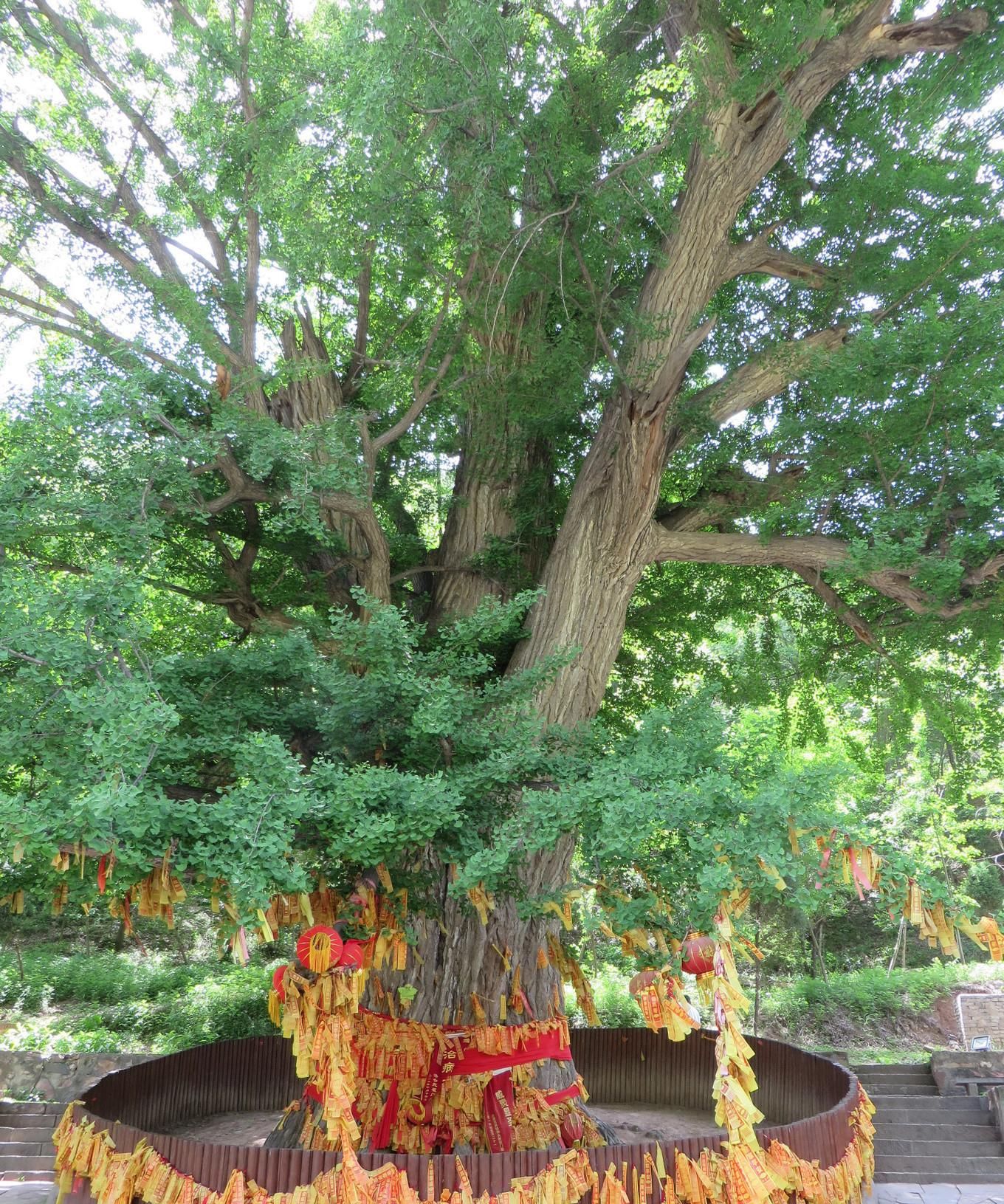 “愚公移山”故事的发源地，道教十大洞天之首