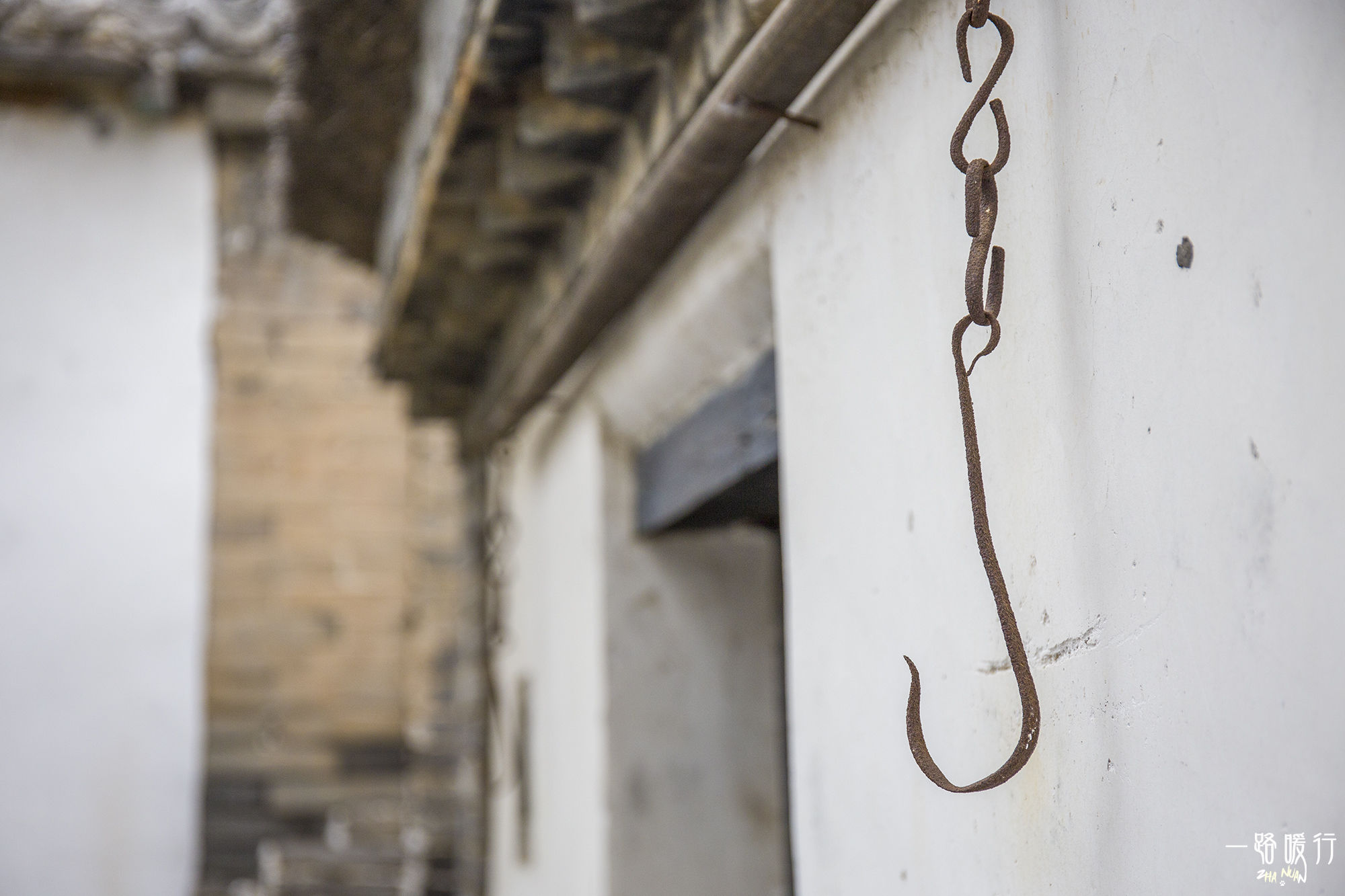 东营丨走过沧海桑田，终是在芦花飞雪的秋日遇见你