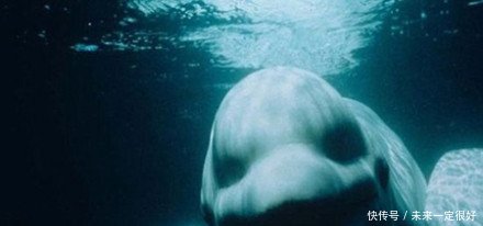 此湖中连续三天三夜涌出浑水，村民用簸箕往浑水一捞，顿时惊呆住