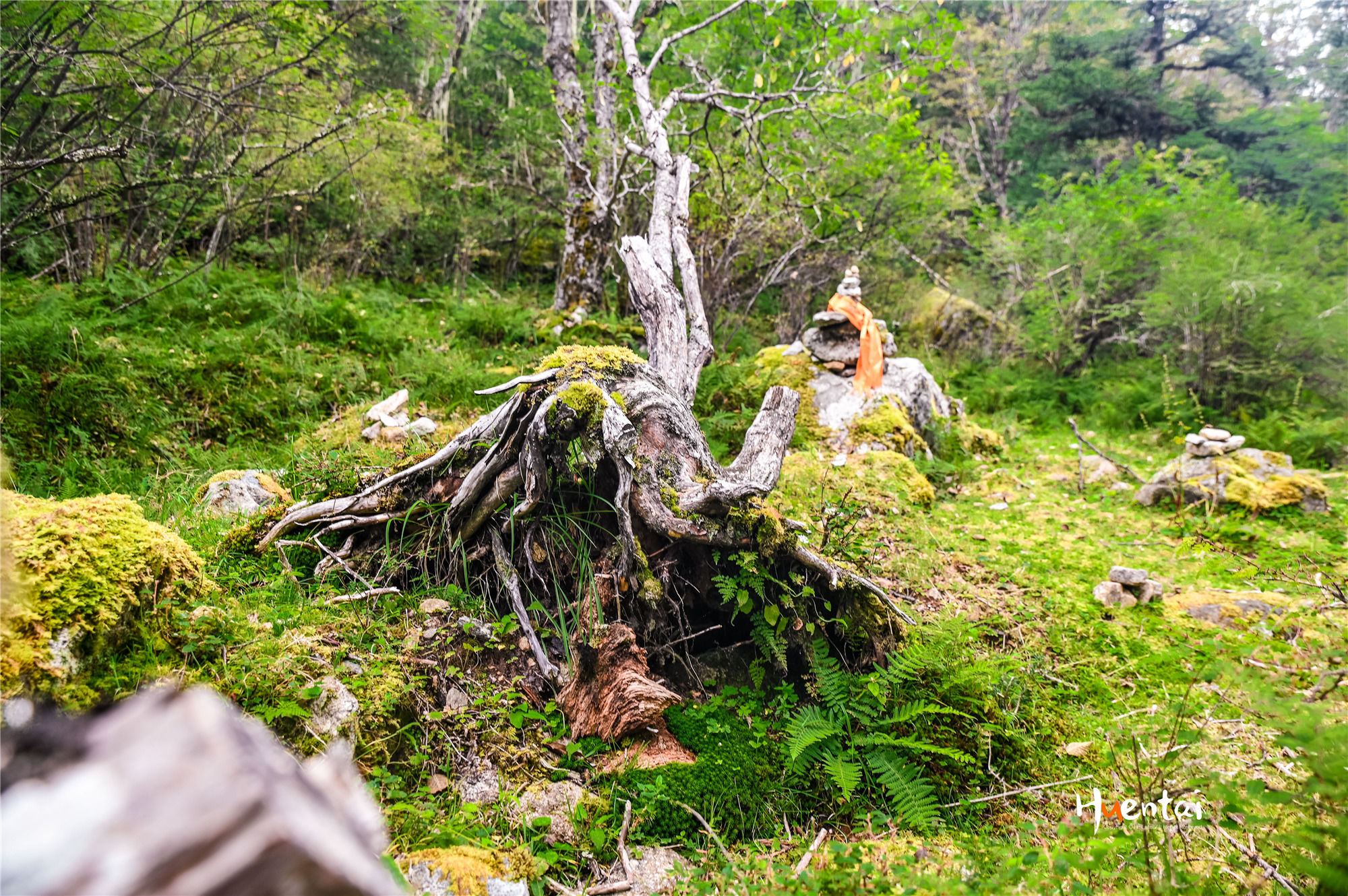 出发即收获，自驾川西秘境木格措