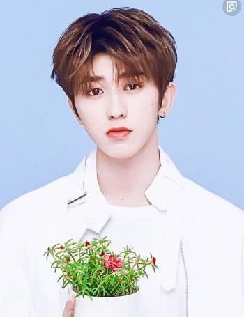 《那年春天》中蔡徐坤一句歌词,8字短句,竟成