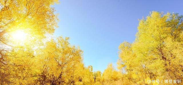 国家在塔克拉玛干沙漠，投资几亿种下大量植物，结果却非常意外