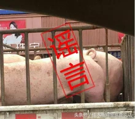 网警辟谣“瘟疫已经到达富锦了”？又一造谣者被拘！