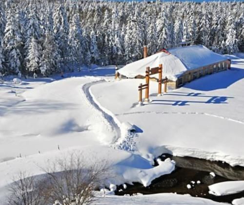 国内最像“兄弟”的三个省，生活习俗都很相似，网友：关系真好