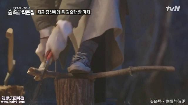 罗英石的林中小屋,为何非苏志燮和朴信惠不可