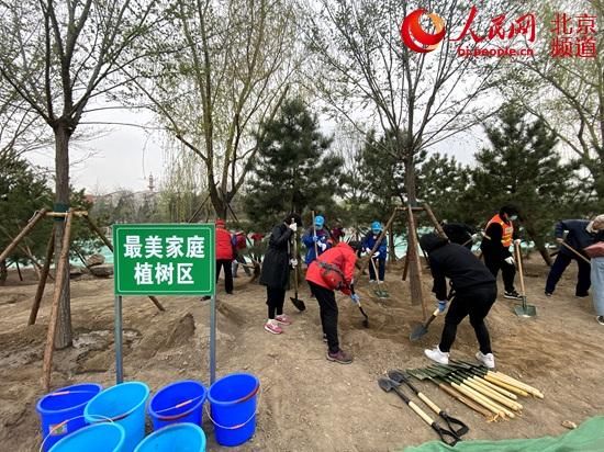  「生态」助推生态文明建设 北京东城开展全民义务植树活动