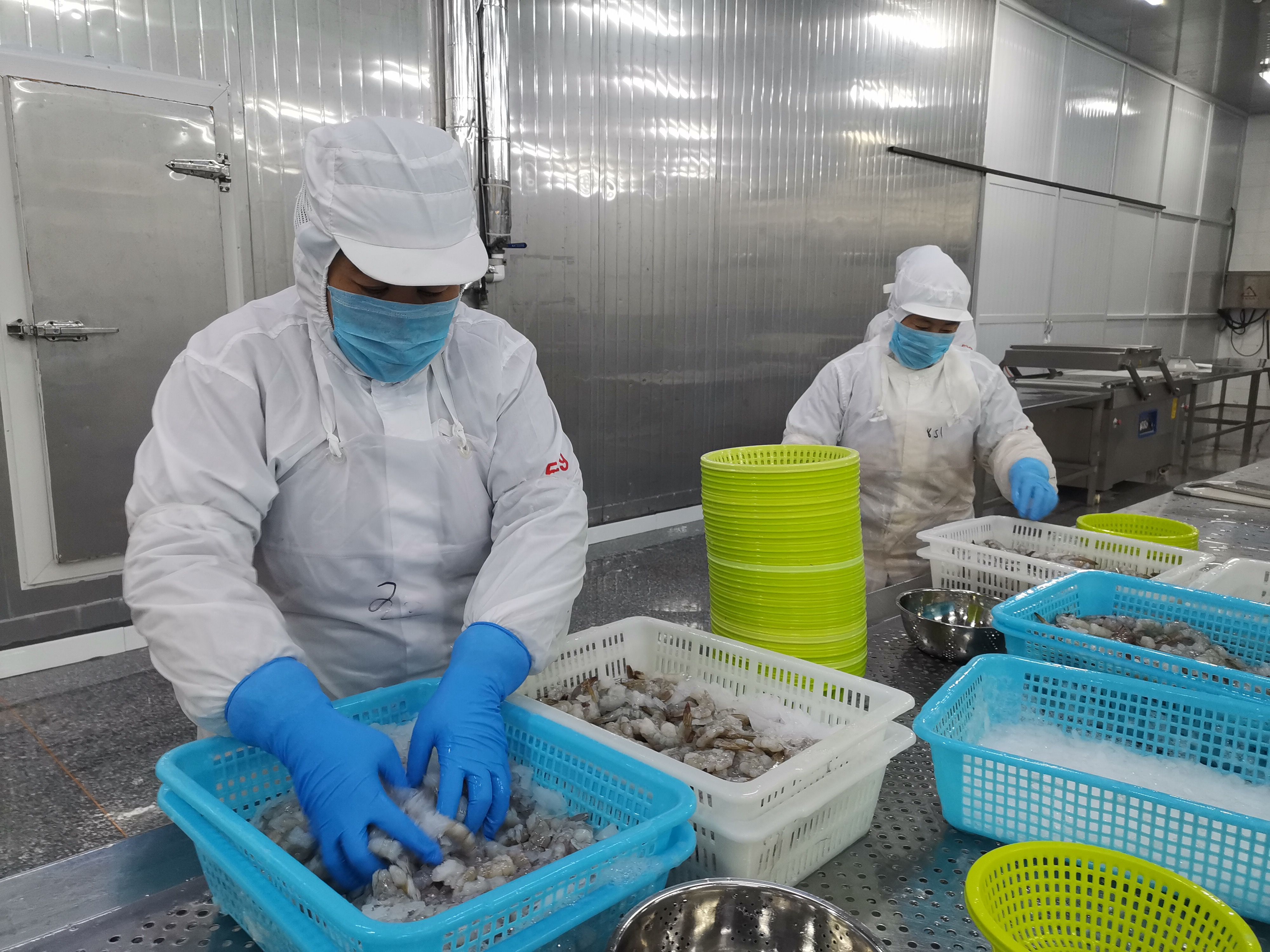  「经济」小对虾掀起现代海洋大产业！滨州北海经济开发区推动传统海洋产业提档升级