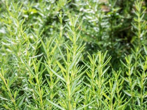  「记住」洗脸记住“四不要”，皮肤想不好都难，可惜很多人不重视