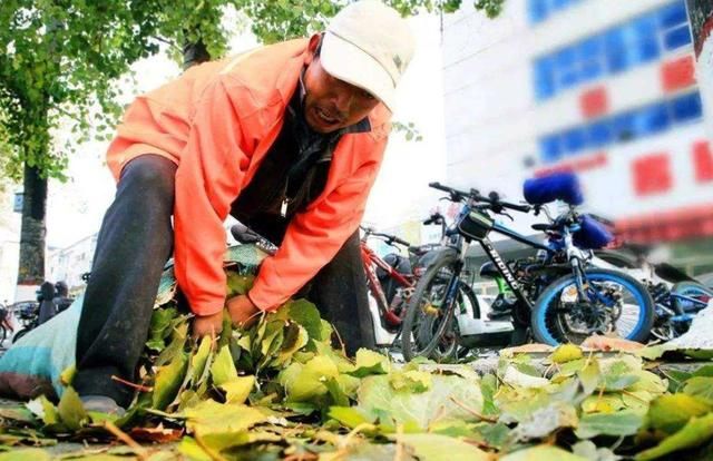  [找工作]今后5-10年里，这3类人可能要回到农村去，希望没有你