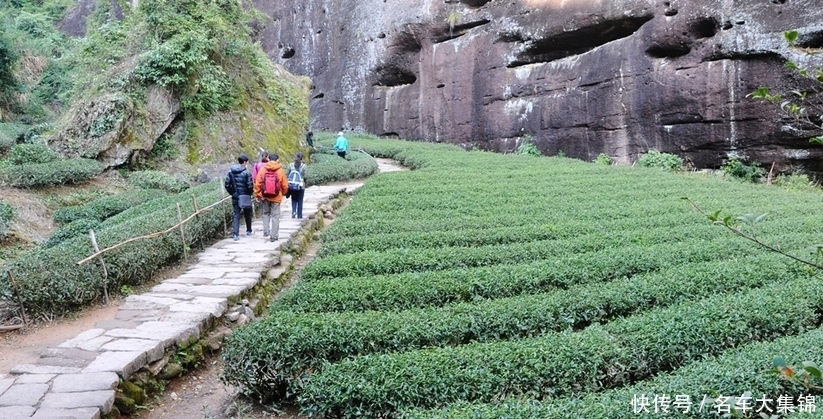 游在武夷山——虎啸岩