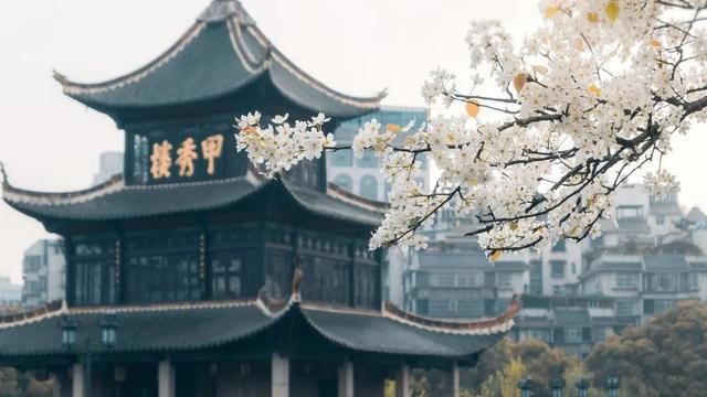  「贵州」贵州，活该你上热搜！