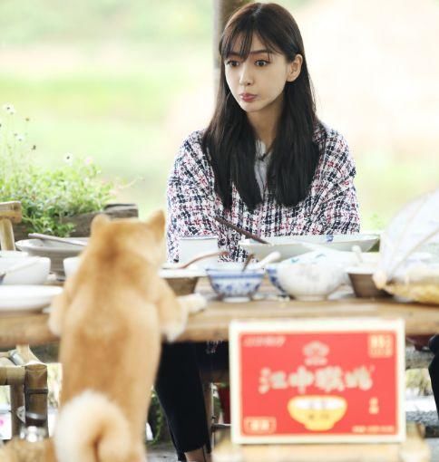 风波未平，杨颖工作室澄清“饭店事件”，三十九个字感动万千网友