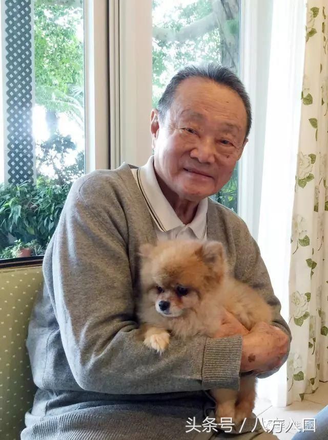 马来西亚华人满眼心酸,看人家选来选去,却从来