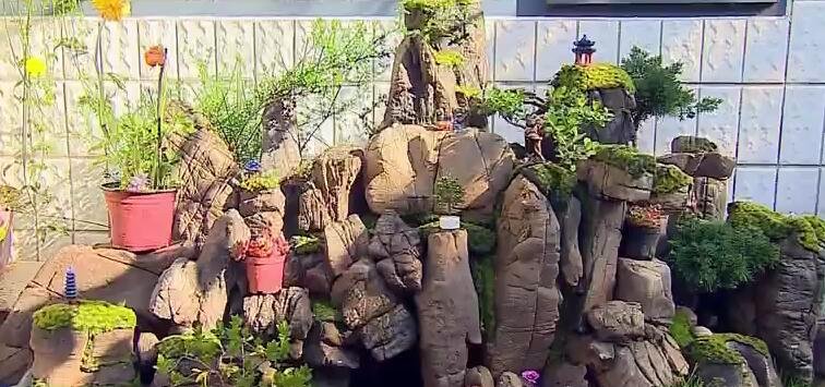  『庭院』花草相伴 山水雅舍！美丽庭院点“靓”幸福生活
