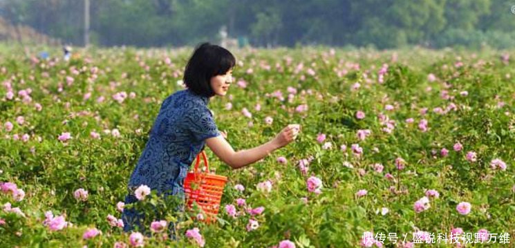 江苏的又一黑马城市经济赶超南京, 不是苏州, 也不是扬州