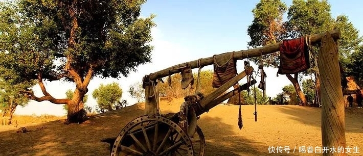 新疆醉美5大胡杨林，简直驶入童话世界，这份攻略请收下！